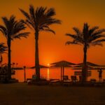 sunset, palm trees, beach, africa, egypt, sand, hurghada, red sea, water, sea, summer, nature, tourism, travel, lounger