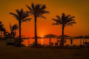 sunset, palm trees, beach, africa, egypt, sand, hurghada, red sea, water, sea, summer, nature, tourism, travel, lounger